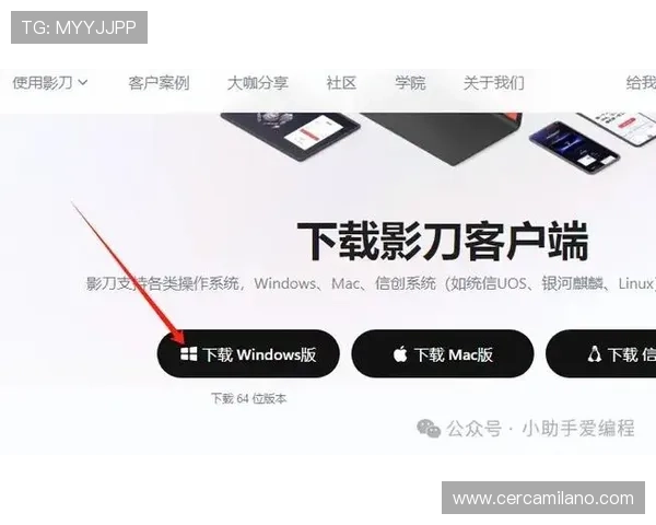 pa电子电脑版下载最新官方版本，快速安装教程与详细操作指南