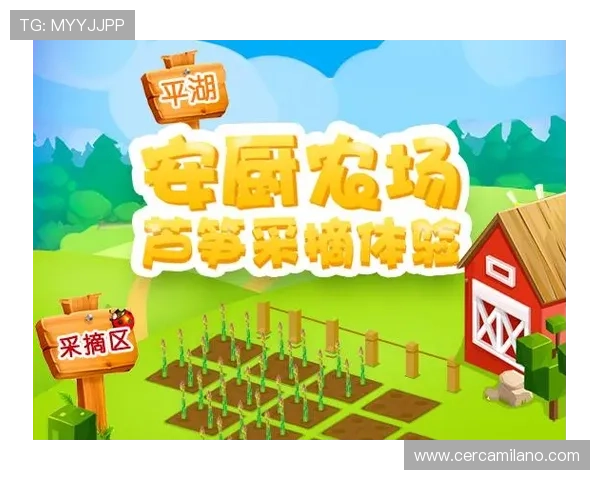 爱游戏在线登录入口的界面设计及用户体验评价分析