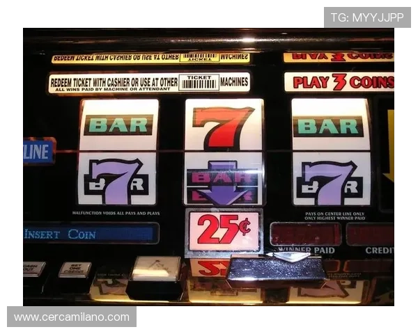 老虎机购买指南帮助你轻松选择适合自己的游戏设备