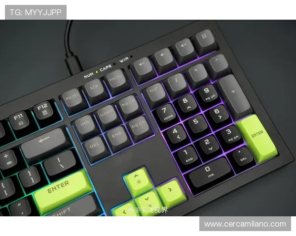 通过ttc键盘官网了解各种键盘配件与升级方案，打造属于你的完美键盘系统