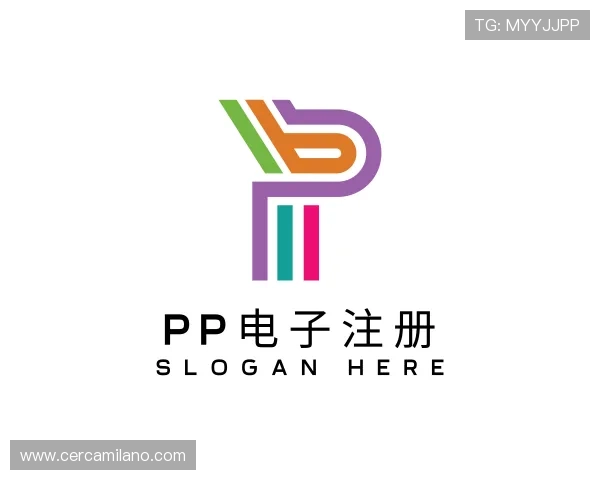 发现PP电子注册